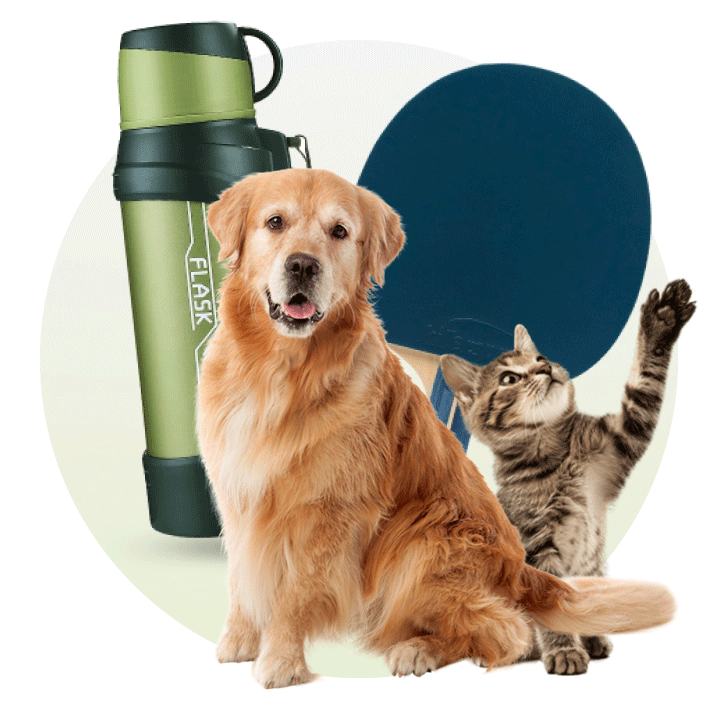 ورزش، سفر و حیوانات